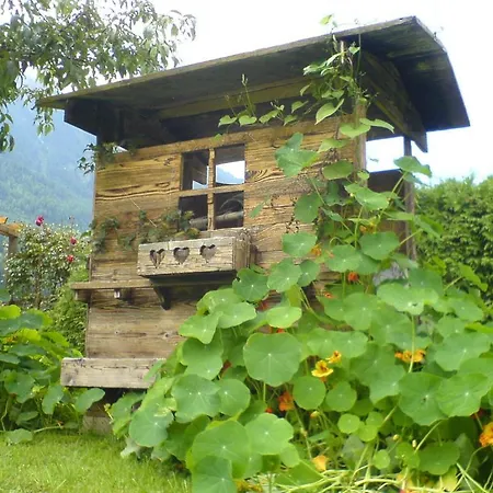 Apartamento Haus Elfi Fiegl Oetz Exterior foto