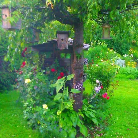 Apartamento Haus Elfi Fiegl Oetz Exterior foto