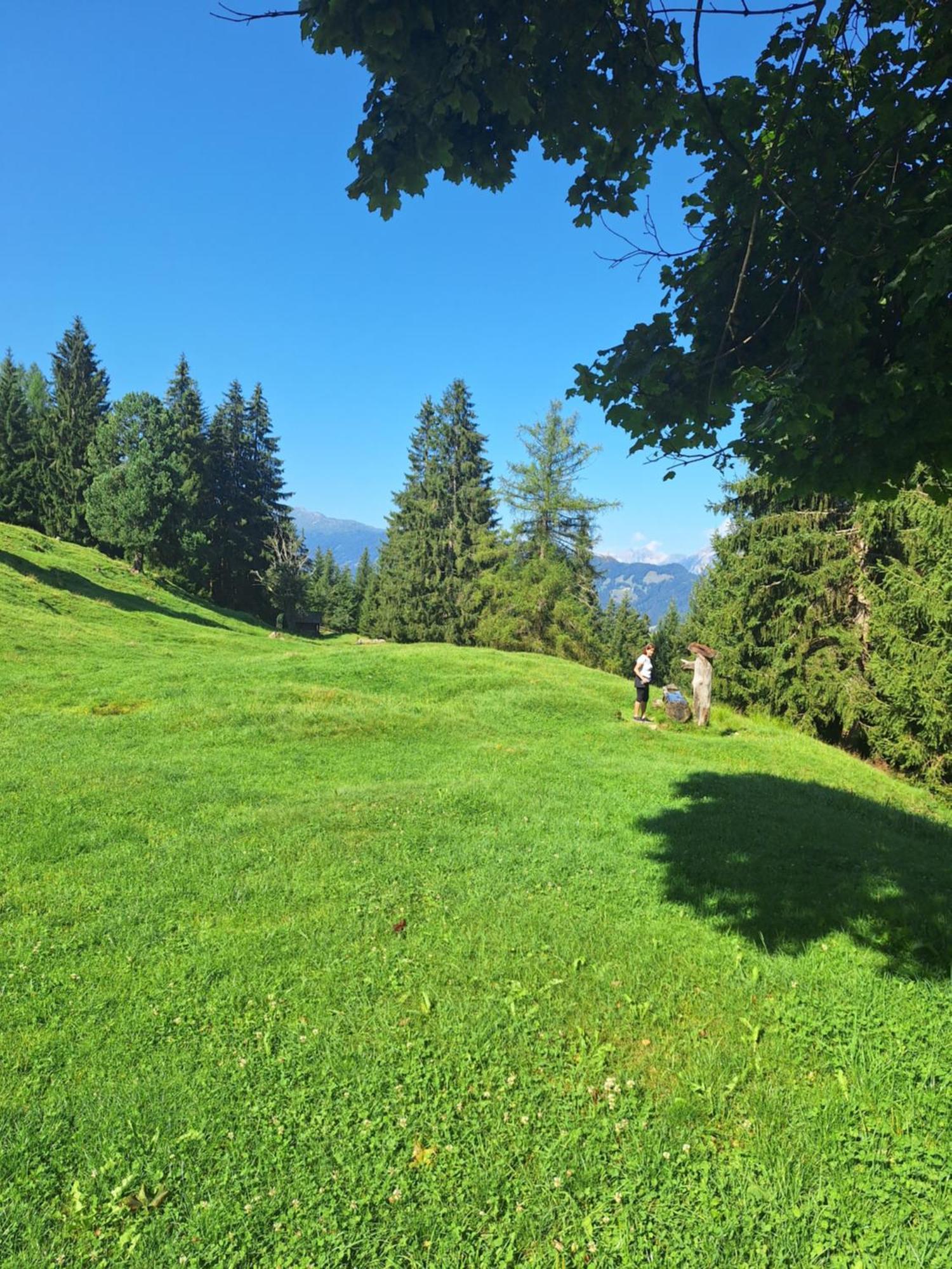 Haus Elfi Fiegl