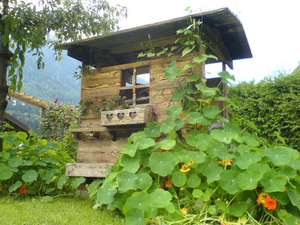 Apartment Haus Elfi Fiegl *